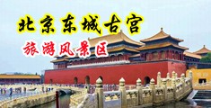 中国美女骚逼。中国北京-东城古宫旅游风景区